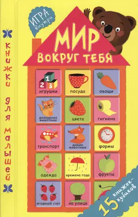 Мир вокруг тебя. 15 книжек-кубиков — 2363321 — 1