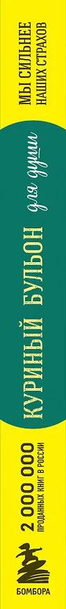 Книга Куриный бульон для души. Мы сильнее наших страхов. 101 история о людях, которые рискнули ради мечты (новое оформление) (Эми Ньюмарк) — 5