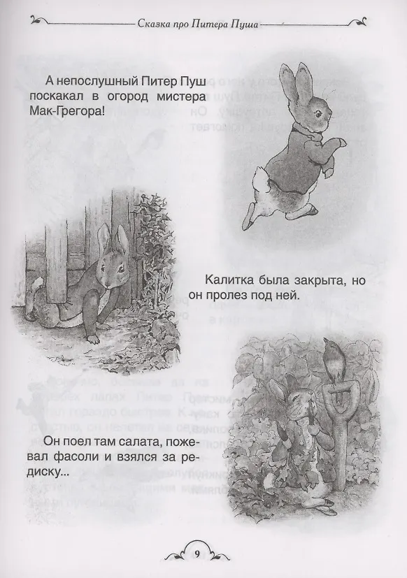 Книга Кролик Питер и все-все-все () — 5