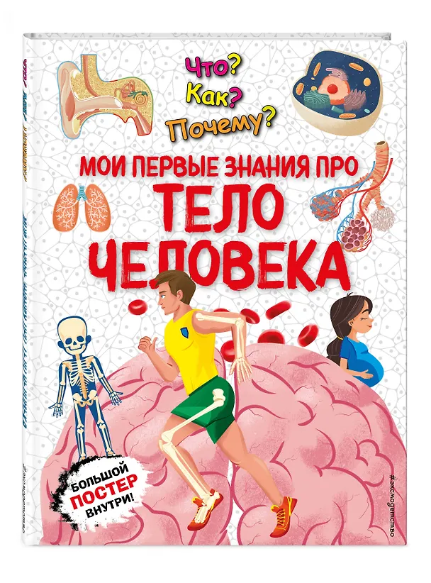 Книга Что? Как? Почему? Мои первые знания про ТЕЛО ЧЕЛОВЕКА (с постером) (Людмила Кириллова) — 5