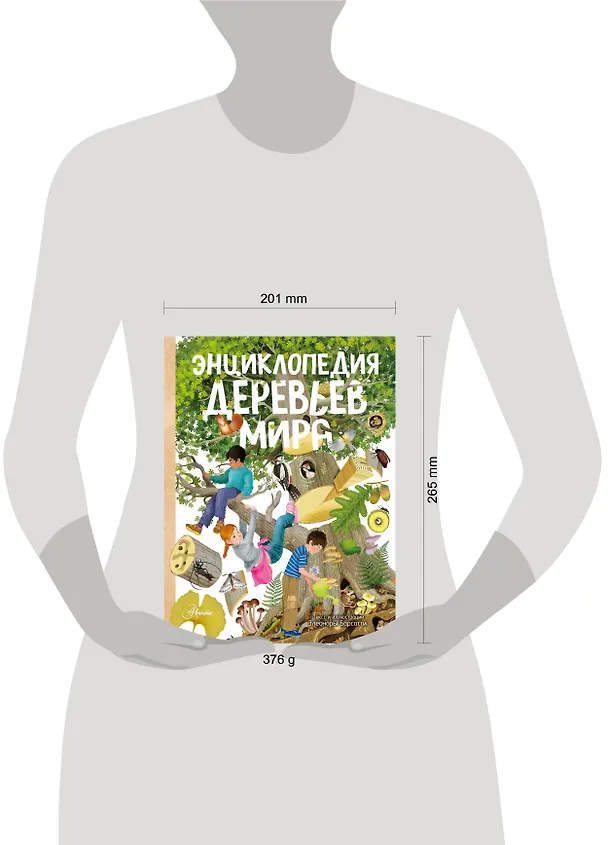 Книга Энциклопедия деревьев мира (Элеонора Барсотти) — 7