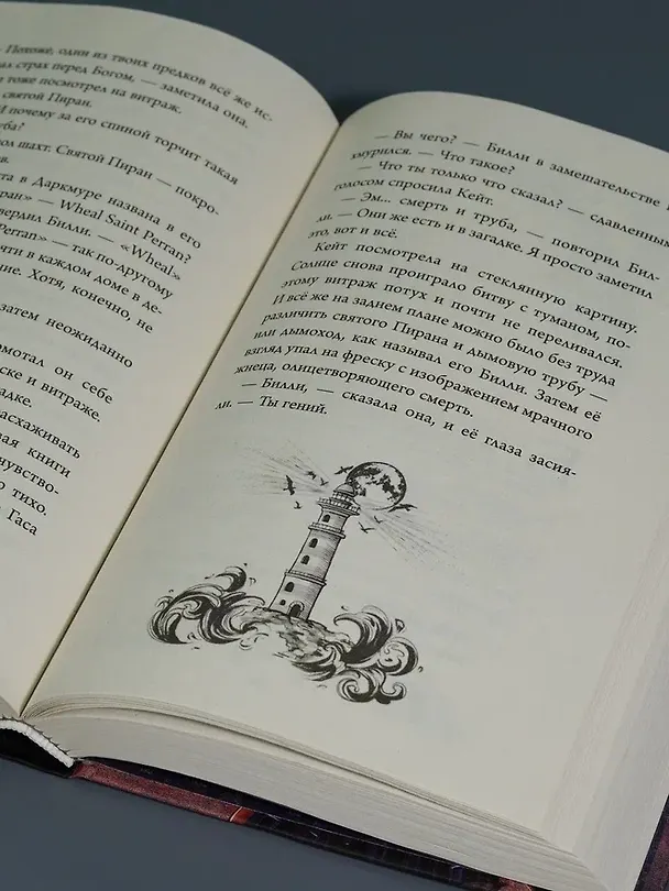 Книга Тайна Даркмур-Холла. Призраки дома на скале (Нина Шевелинг) — 14