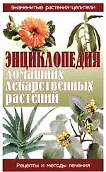 Энциклопедия домашних лекарственных растений: Рецепты и методы лечения