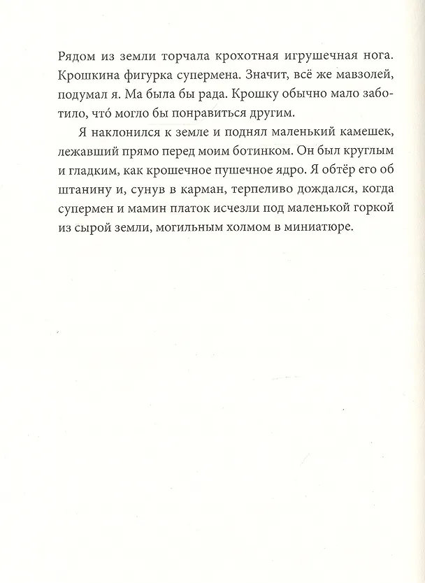 Книга Большая черная птица (Штефани Хёфлер) — 2