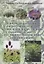 Способы получения растительного сырья кровохлёбки лекарственной (Sanguisorba officinalis L) в условиях таежной зоны Западной Сибири : монография — 3068874 — 1
