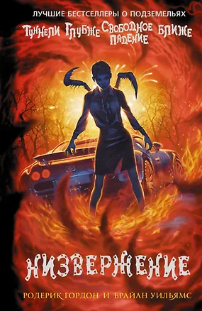 Книга Низвержение (Ричард Гордон)