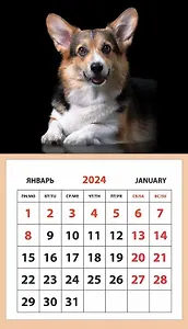 Календарь 2024г 95*165 "Собака. Корги" на магните