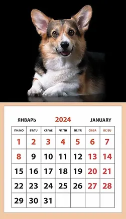 Календарь 2024г 95*165 "Собака. Корги" на магните 3000730