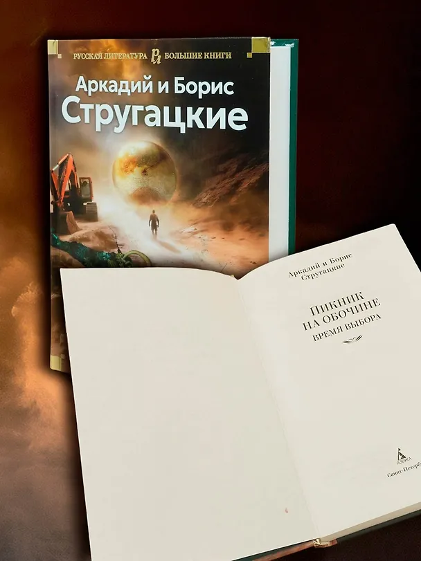 Книга Пикник на обочине. Время выбора (Борис Стругацкий, Аркадий Стругацкий) — 7
