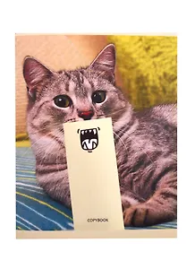 Тетрадь в клетку Unnika, "Кошачьи забавы", 48 листов, в ассортименте