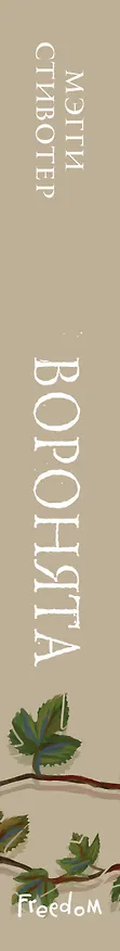 Книга Вороновый круг. Воронята (#1) (подарочное оформление) (Мэгги Стивотер) — 4