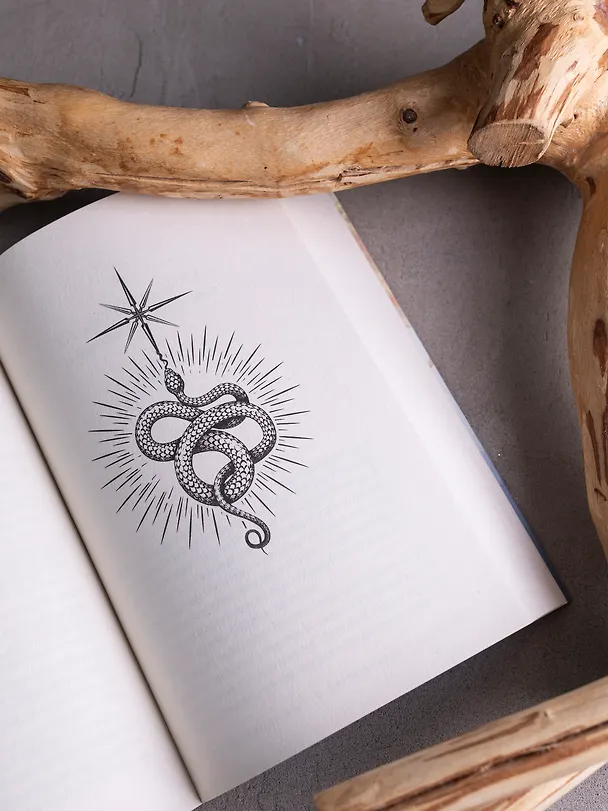 Книга Прах имени его. (ибн Акиф Вазир) — 8
