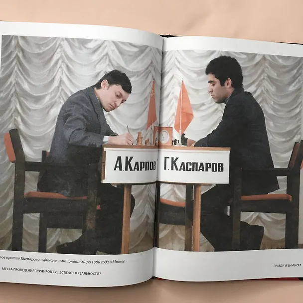 Книга Ход королевы. Правда и вымысел (Софи Гинденшпергер, Жоффри Риком, Пьер Труве, Дамьен Лелуп) — 5