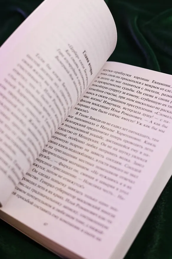 Книга Авантюристка. Посланница судьбы (Анна Малышева) — 11