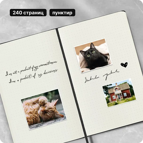 Книга для записей А5, 120 листов в точку "Classic Large", черная, жесткая обложка, резинка, Moleskine 242490 — 11
