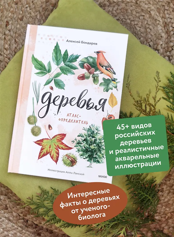 Книга Деревья. Атлас-определитель (Алексей Бондарев) — 5