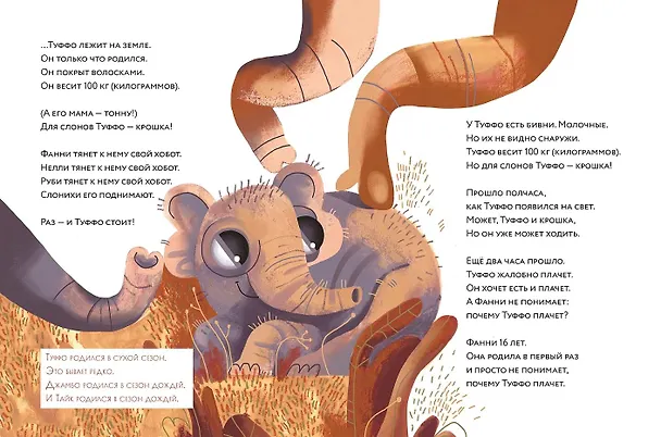 Книга Слоны идут! Уровень II (Марина Аромштам) — 6