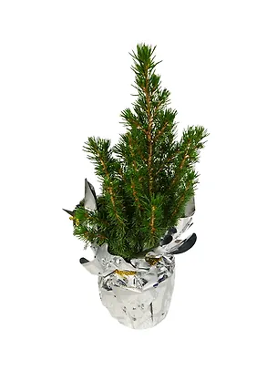 Ель украшенная 9/30см (PTK403) 2396577