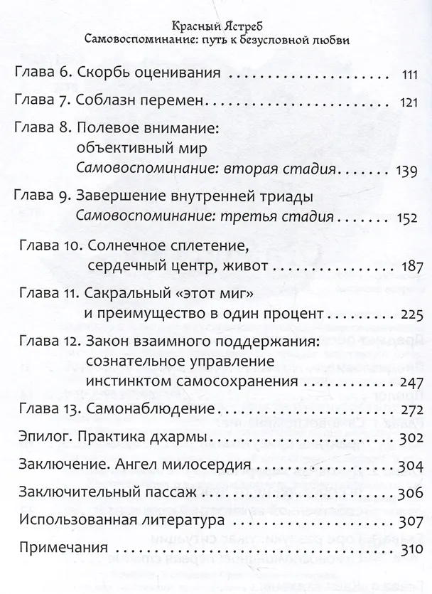 Книга Самовоспоминание: путь к безусловной любви. Руководство пользователя (Красный Ястреб) — 3