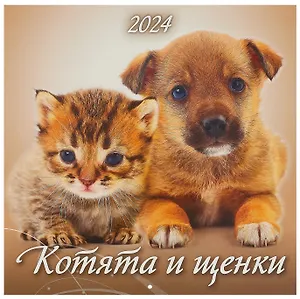 Календарь 2024г 285*285 "Котята и щенки" настенный, на скрепке