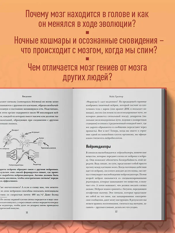 Книга Мозг. Советы ученого, как по максимуму использовать самый совершенный в мире орган (Майк Трентер) — 7