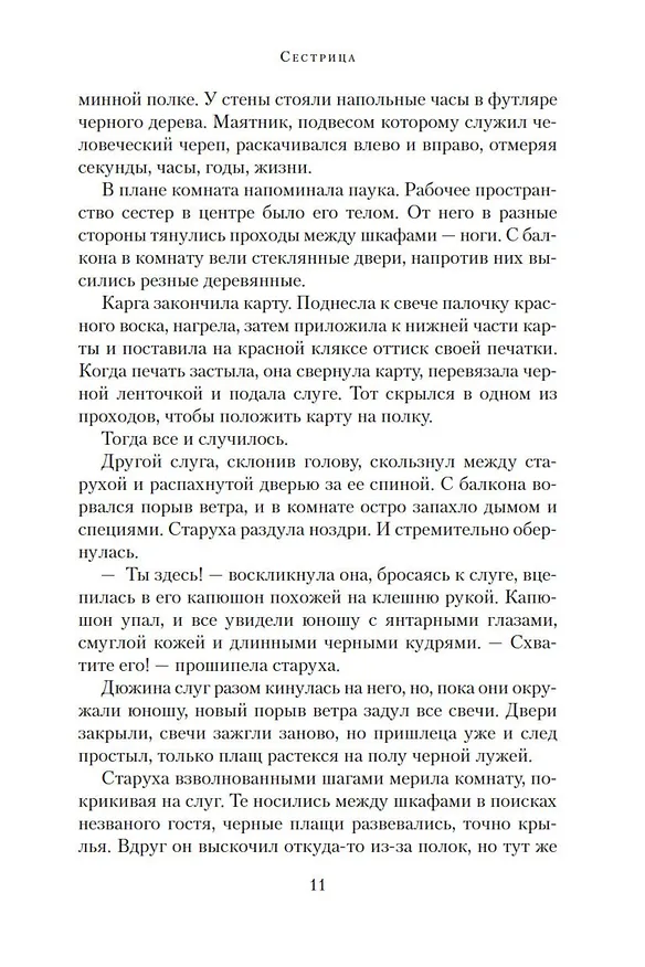 Книга Сестрица (Дженнифер Доннелли) — 10