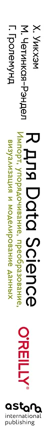 Книга R для Data Science. Импорт, упорядочивание, преобразование, визуализация и моделирование данных, 2-е издание (Хэдли Уикхэм, Майн Четинкая-Рэндел, Гаррет Гролемунд) — 3