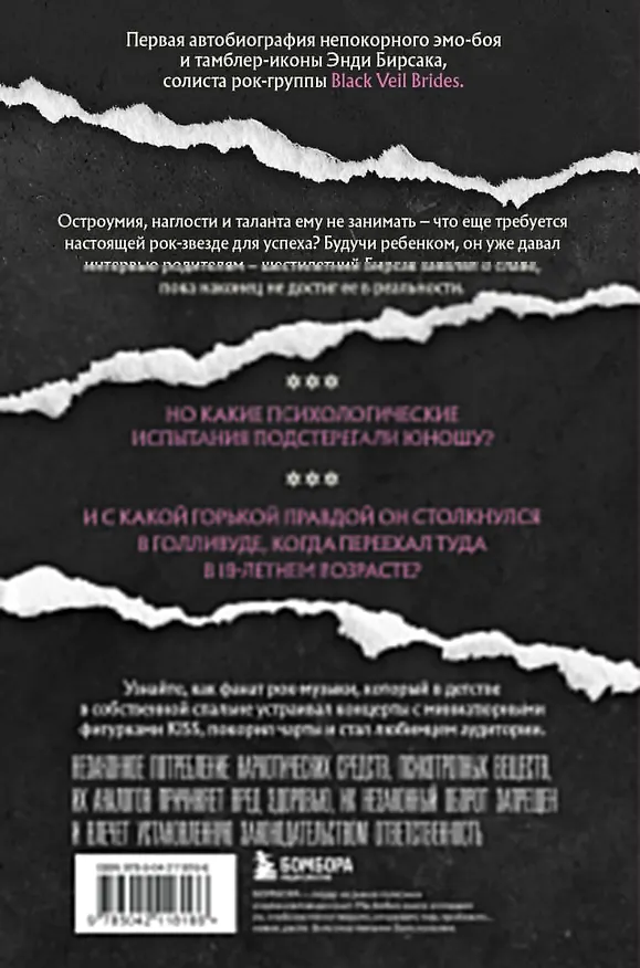 Книга Они не поймут эти истории: Вдохновляющая автобиография солиста Black Veil Brides Энди Бирсака (Энди Бирсак) — 2