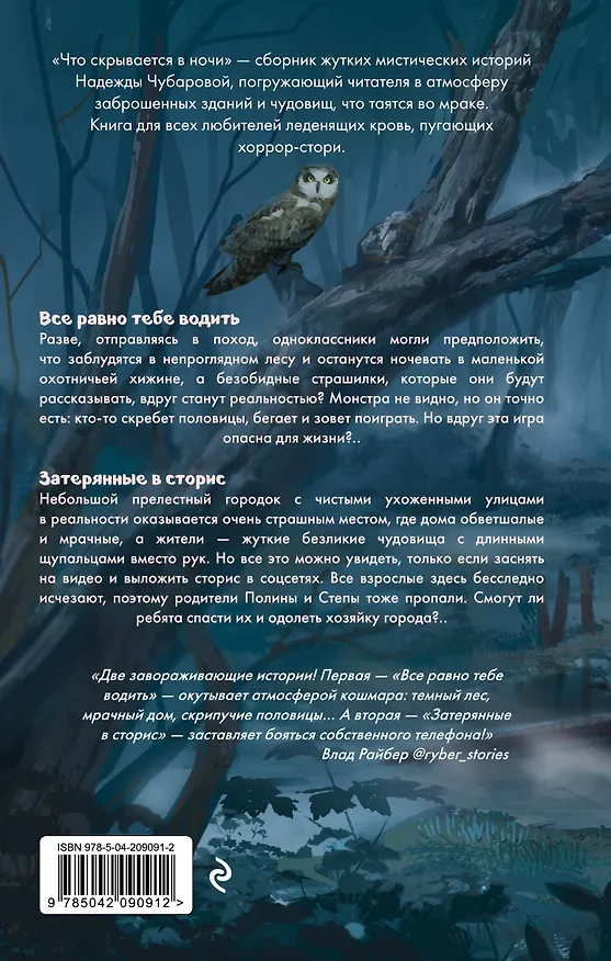 Книга Что скрывается в ночи (Надежда Чубарова) — 2