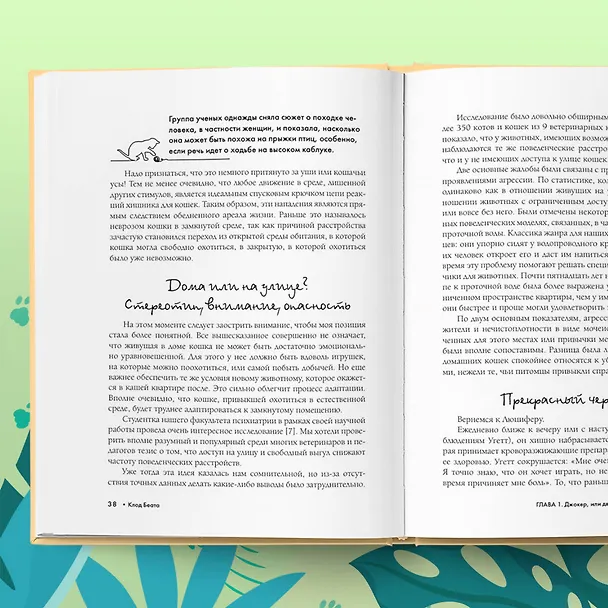 Книга Кошки, которые сводят с ума. Почему кошки психуют и что делать с их проблемным поведением (Клод Беата) — 11