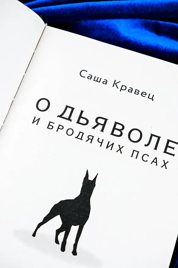 Книга О дьяволе и бродячих псах (Саша Кравец) — 8