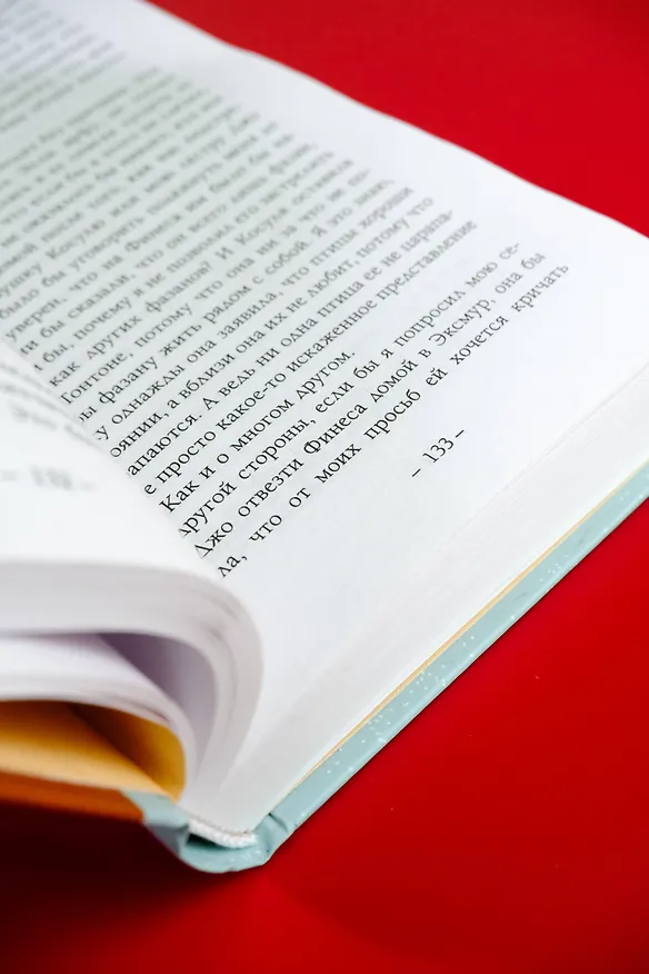 Книга Элли и арфист (Хейзел Прайор) — 11