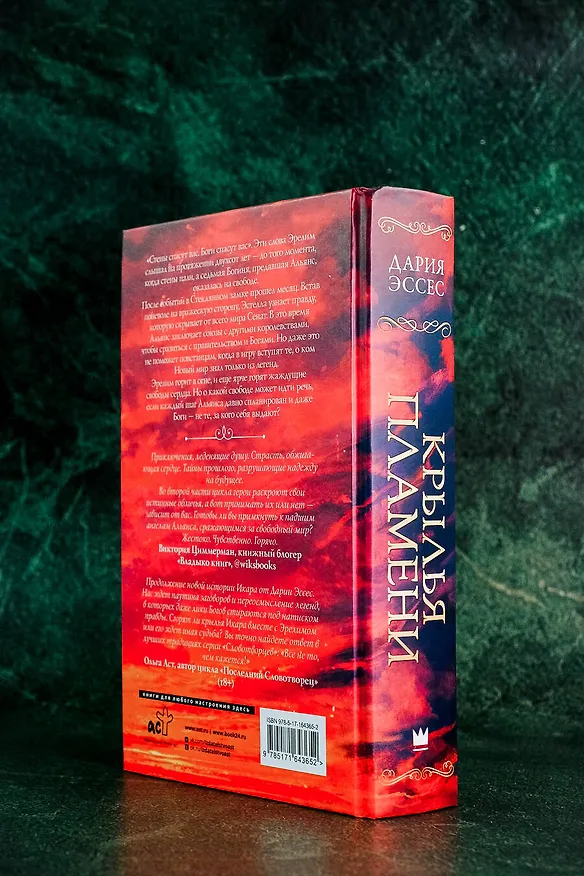 Книга Крылья пламени (Дария Эссес) — 14