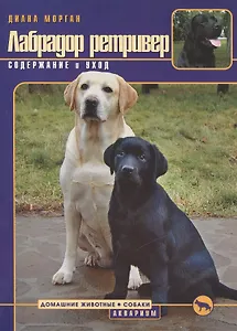 Лабрадор ретривер. Содержание и уход