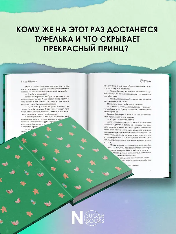 Книга Злолушка (Кира Шеина) — 6
