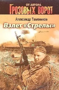 Книга Взлет "Стрелы" (Александр Тамоников) — 1
