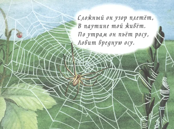 Книга Загадки в картинках () — 4