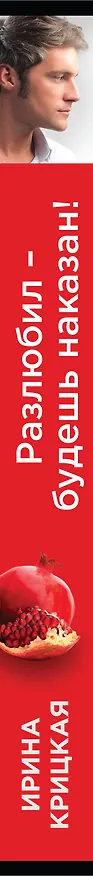 Книга Разлюбил - будешь наказан! (Ирина Крицкая) — 3
