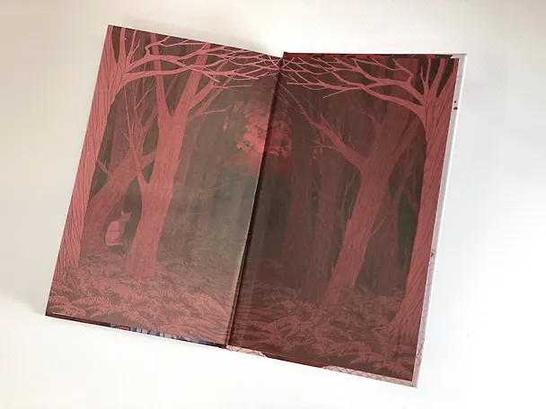 Книга Рубиновый лес (Анастасия Гор) — 21