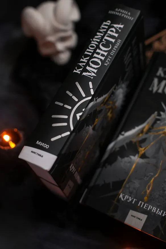 Книга Как поймать монстра. Круг первый (Арина Цимеринг) — 14