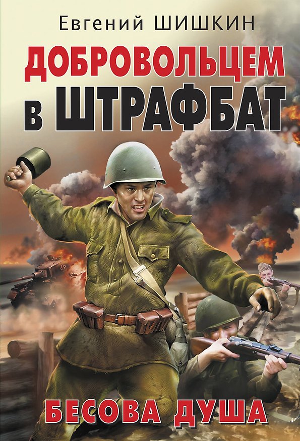 Книга Добровольцем в штрафбат. Бесова душа (Евгений Шишкин) — 1