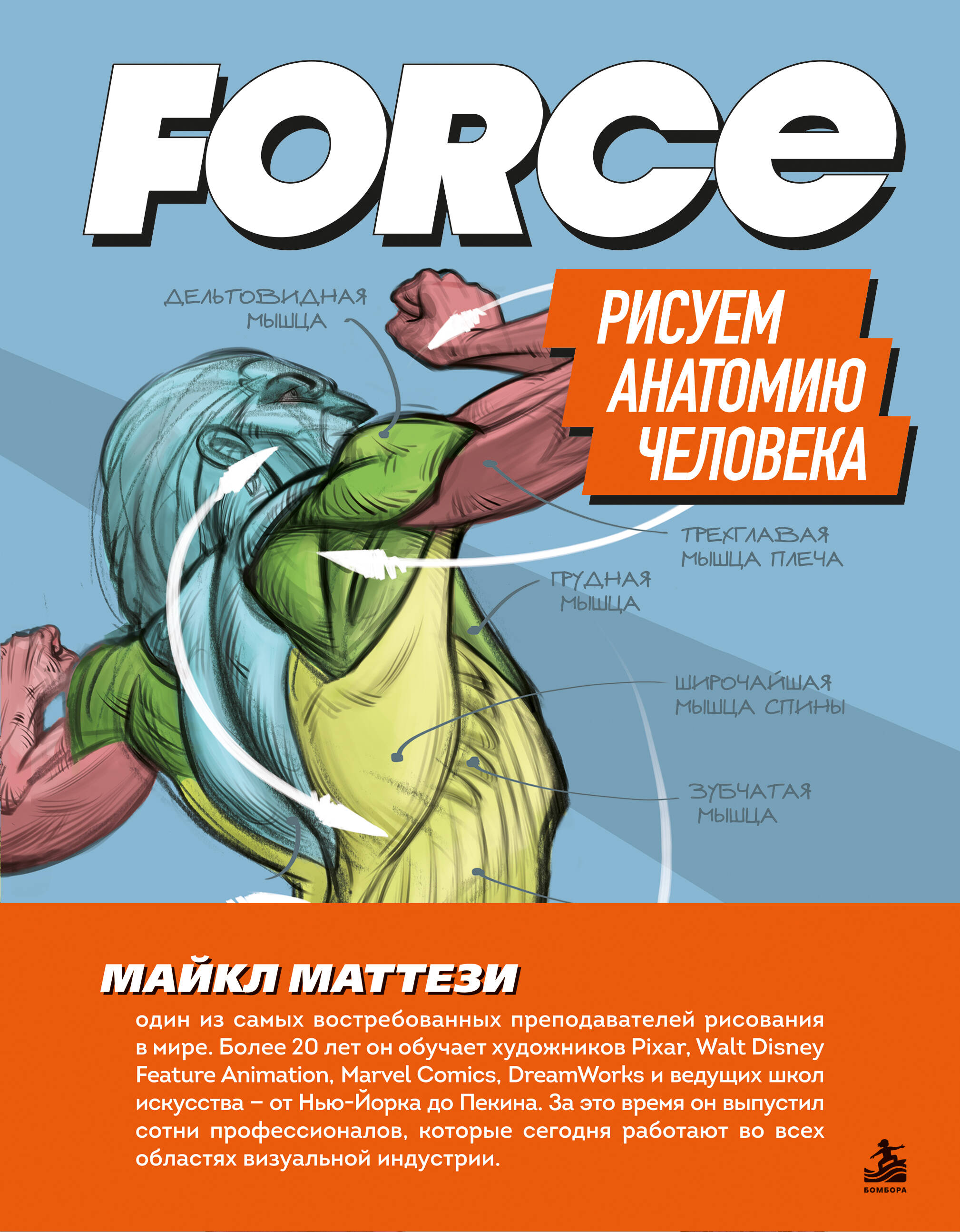 FORCE. Рисуем анатомию человека