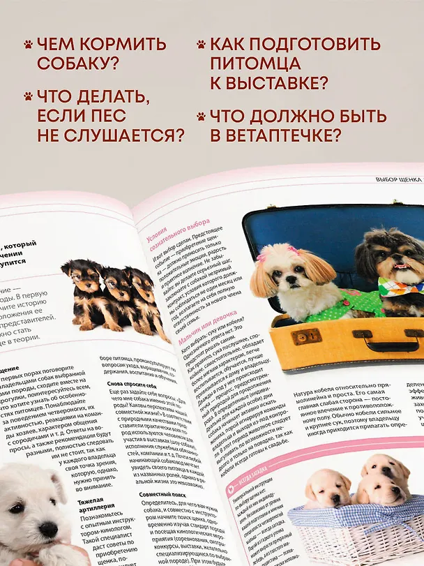 Книга Собаки. Подарочная иллюстрированная энциклопедия (новое оформление) (Андрей Шкляев) — 6