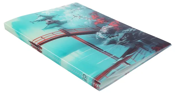 Папка 20 файлов А4 "Азия" 3076380 — 2