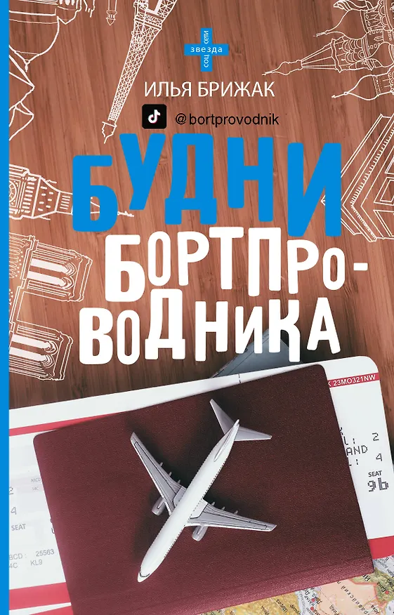 Книга Будни бортпроводника (Илья Брижак) — 1