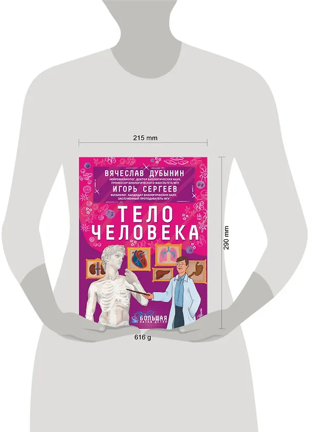Книга Тело человека (Вячеслав Дубынин) — 16