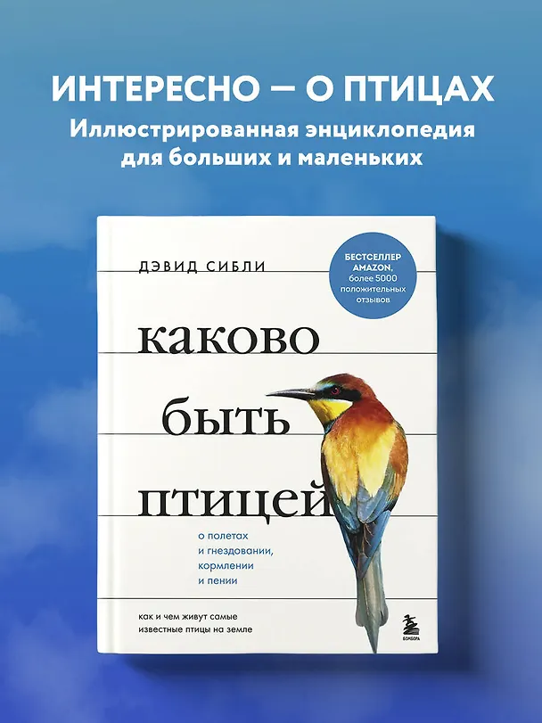 Книга Каково быть птицей: о полетах и гнездовании, кормлении и пении. Как и чем живут самые известные птицы на земле (Дэвид Сибли) — 6