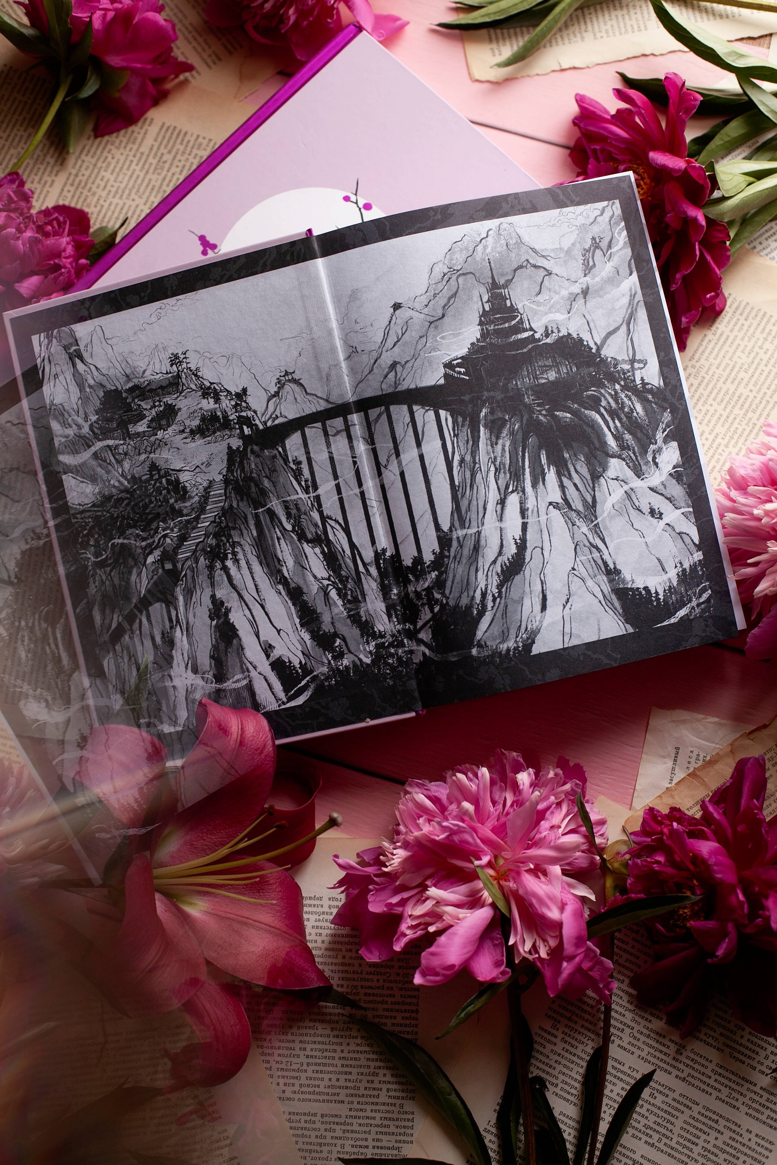 Изображение бумажной книги