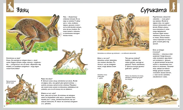 Книга Животные (Лоранс Букобза, Анник Мулинье) — 3