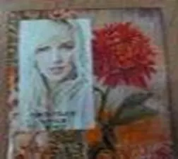 Фоторамка Феникс 18*23 (10*15) стекло 25031 2315608